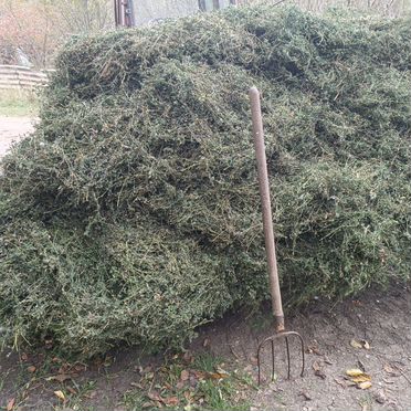 Сено люцерны Тихорецк
