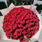 101 роза 40 см