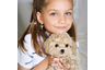 Alexandr.Maltipoo_Land