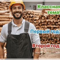 Агентство по деревообработке в городе, Душанбе